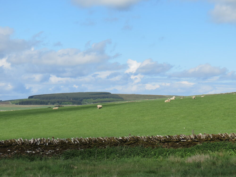 Somerset Rivers